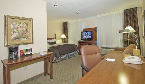 Staybridge Nw Near Six Flags Fiesta, An Ihg 3* San Antonio